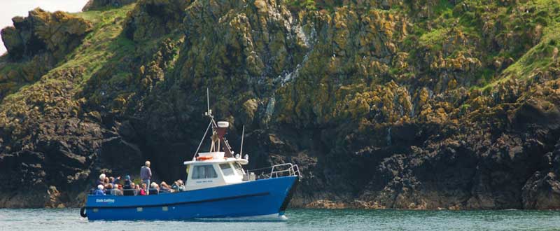 Skomer Cruises - Dale Princess