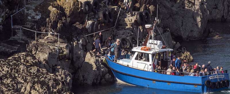 Skomer Landing - Dale Princess
