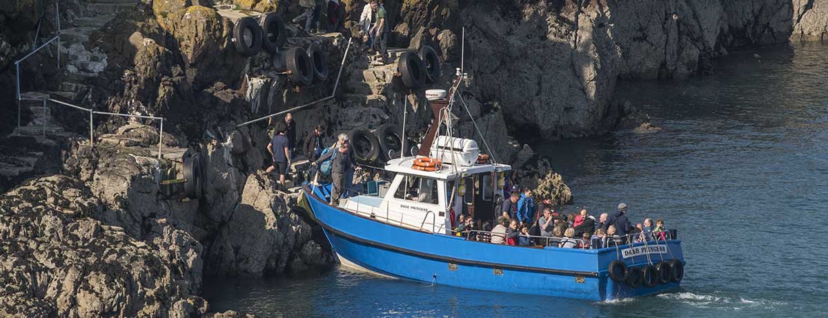Skomer Landing - Dale Queen