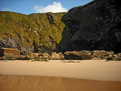 Musselwick