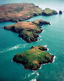 Skomer Island